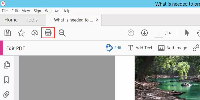 Click the Print Icon 