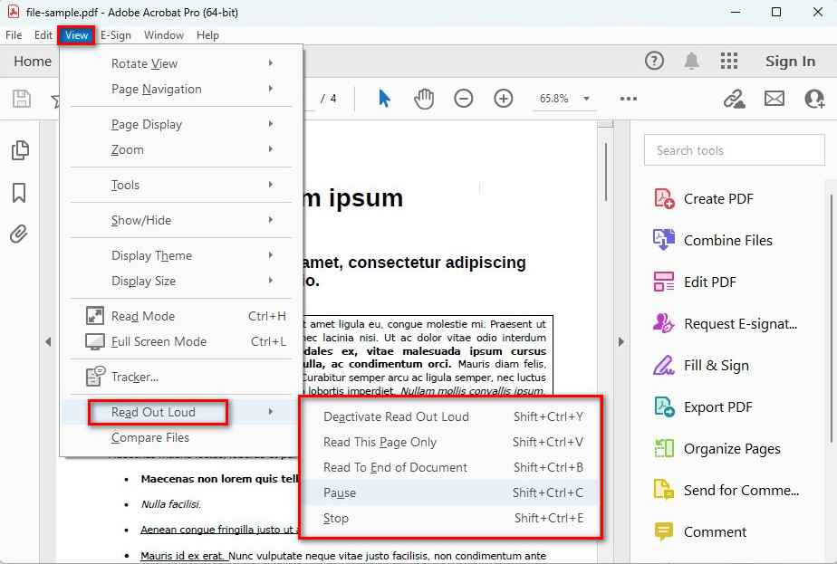 Read Aloud PDF File in Adobe Acrobat