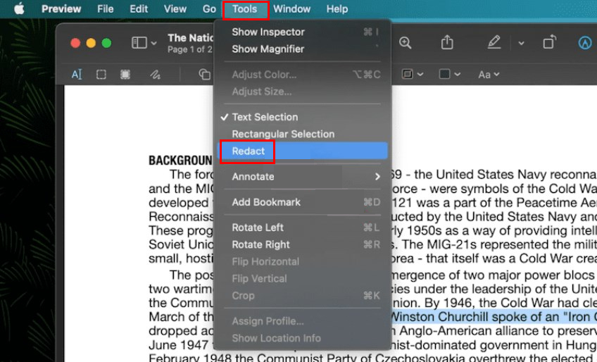 How to Redact a PDF for Free with Preview