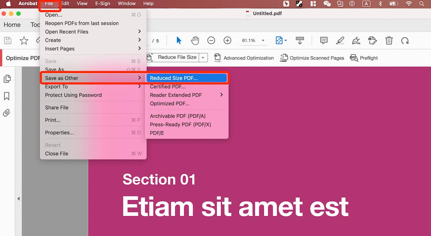Reduced Size PDF in Adobe Acrobat