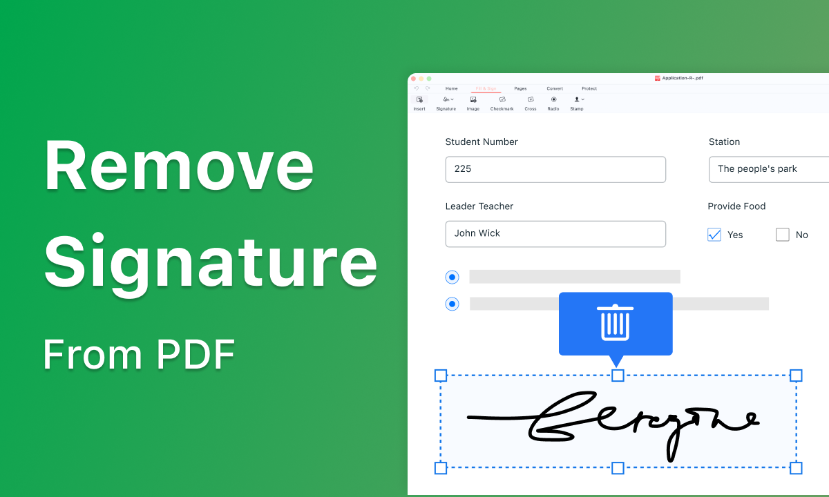 Remove Signature from PDF