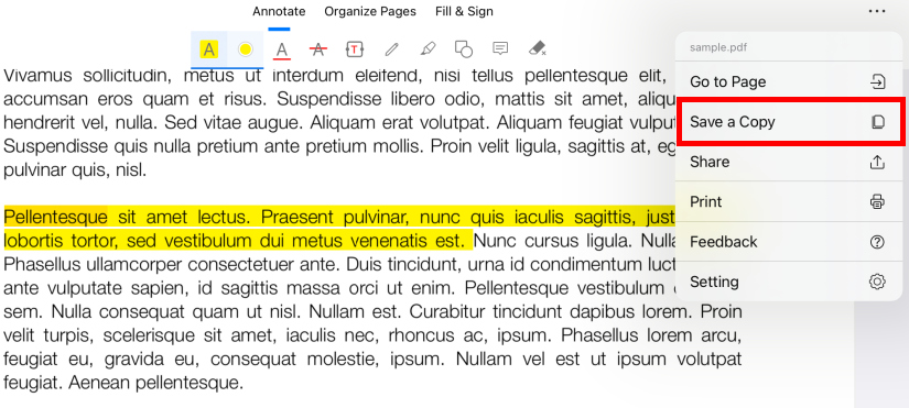 Save and Share Highlighted PDF