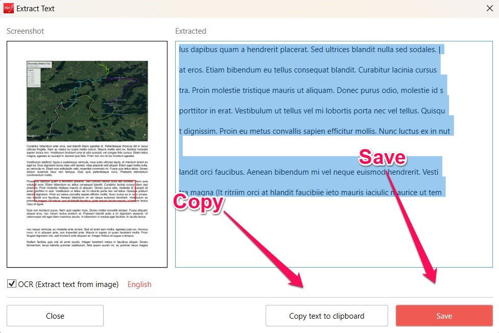 Save the Extracted Text