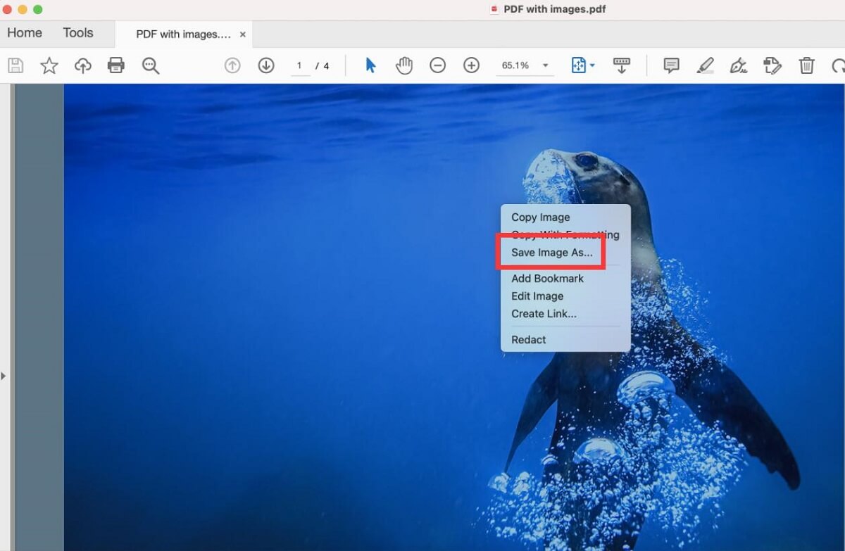 Save Images from PDF in Adobe Acrobat