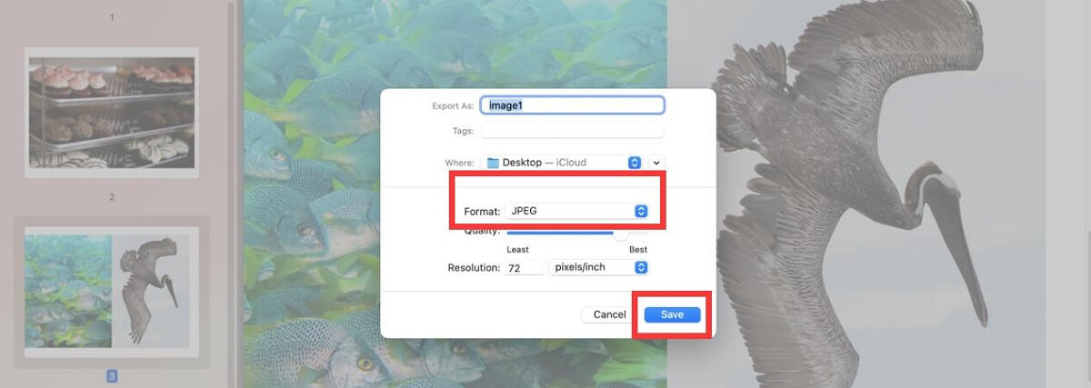 Save the Image from Preview