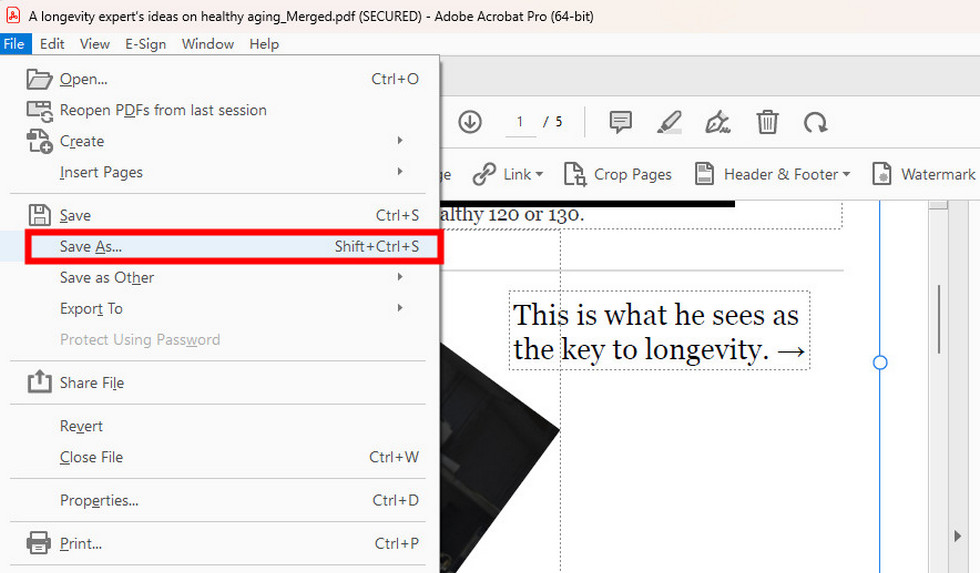 Save the PDF after Image Rotation