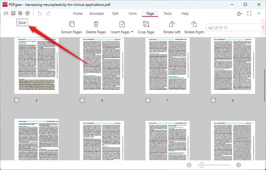Save the PDF