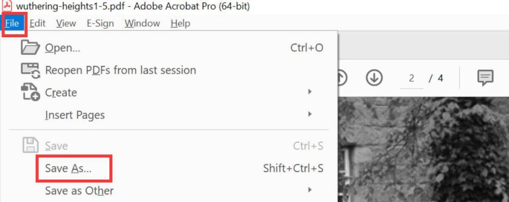 Save the Updated PDF with no password