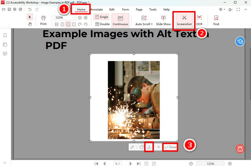 Screenshot Images on PDF in PDFgear