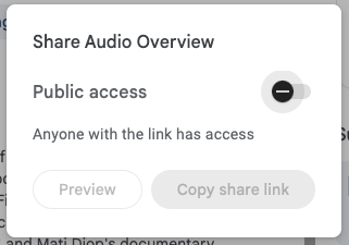 Set the Audio File Public Access