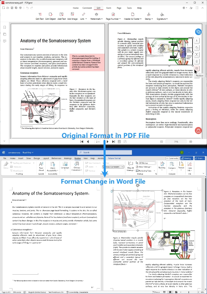 Format Change when Opening PDF with Word