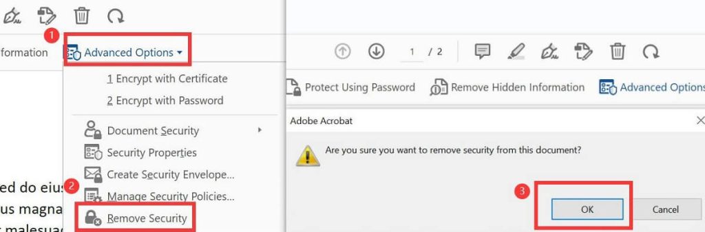 Terminate the Password from a PDF in Adobe Acrobat Pro