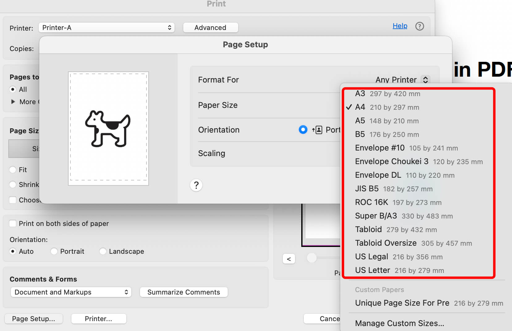 Choose Paper Size