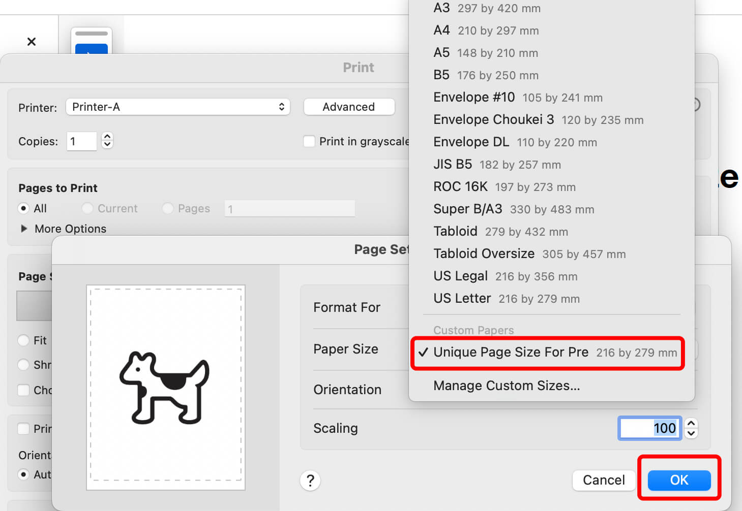 Use Customized Page size