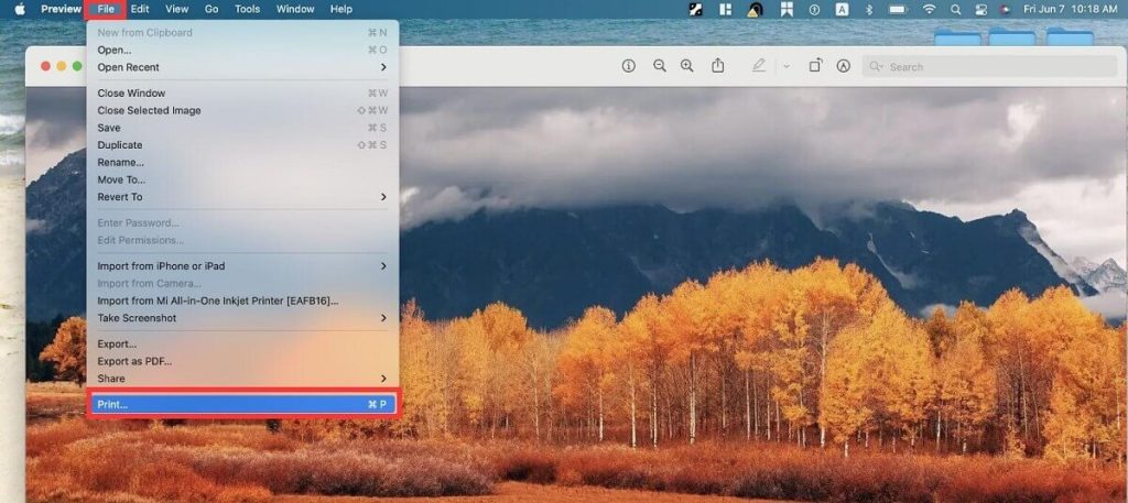 Import an Image to Preview