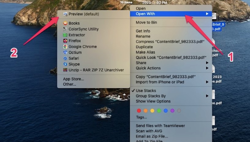 Open a PDF with Preview