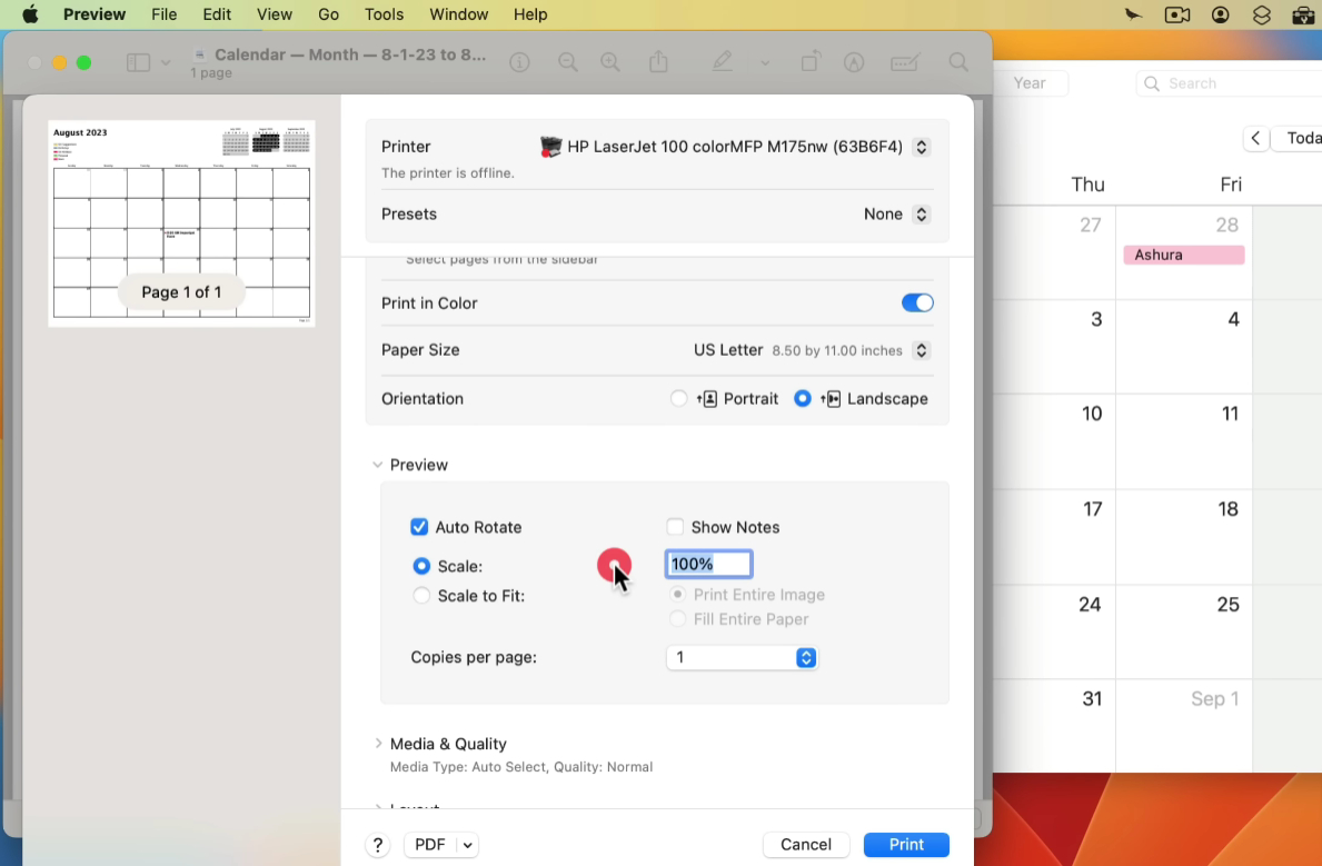 Change Print Scale in Preview