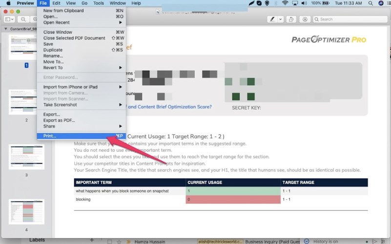 Select the Print Option