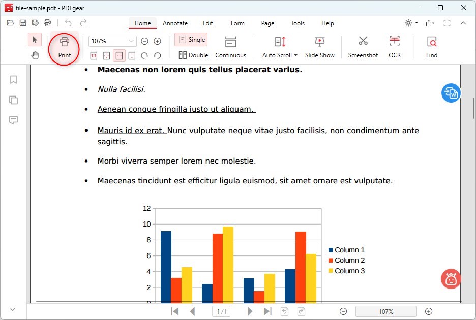 Print Icon in PDFgear