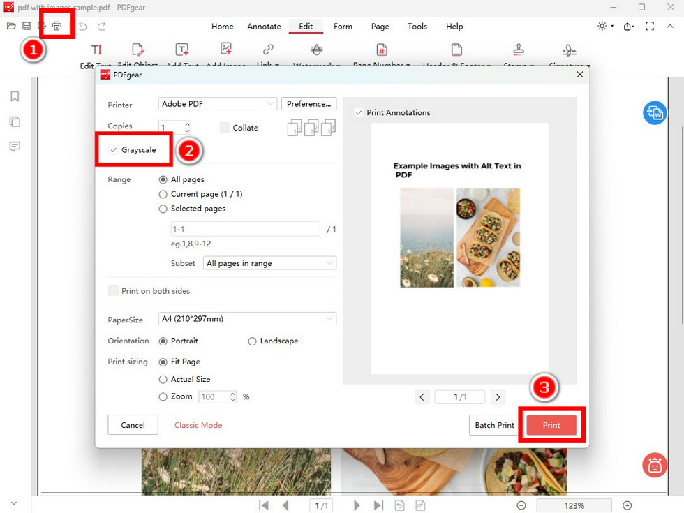 Print PDF in Black and White in PDFgear