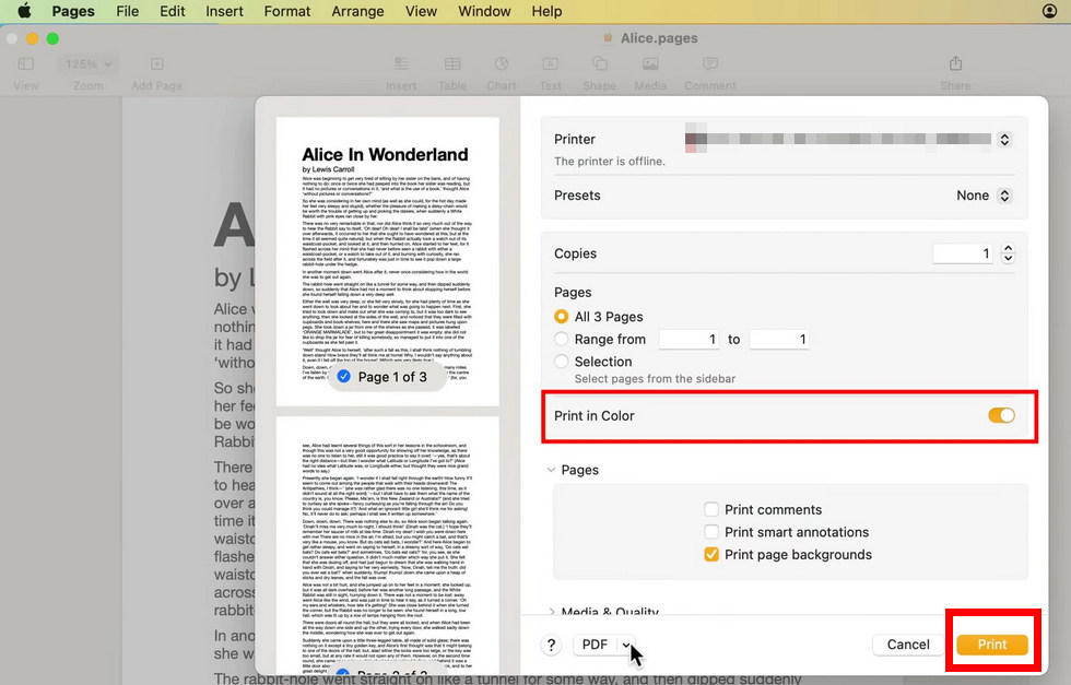 Print PDF in Black and White in Preview