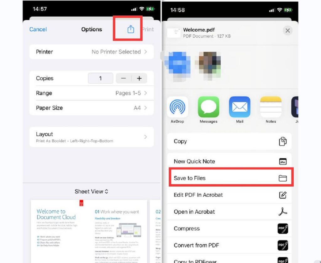 Share or Save the Booklet PDF