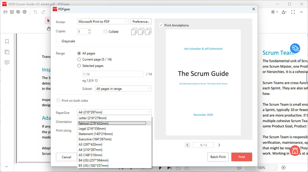 Choose Standard Size