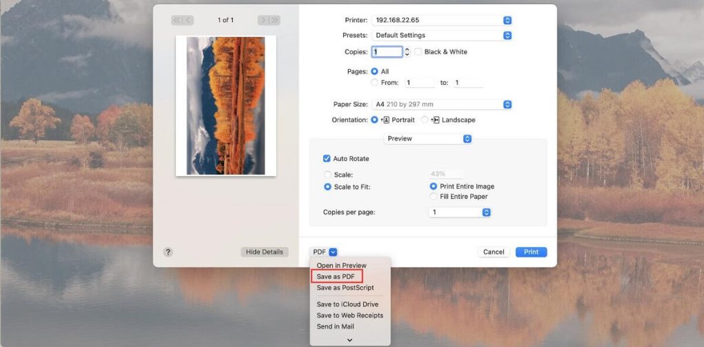 The Save as PDF Option in Preview