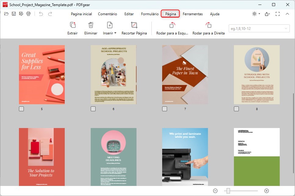 Clique na Aba Página