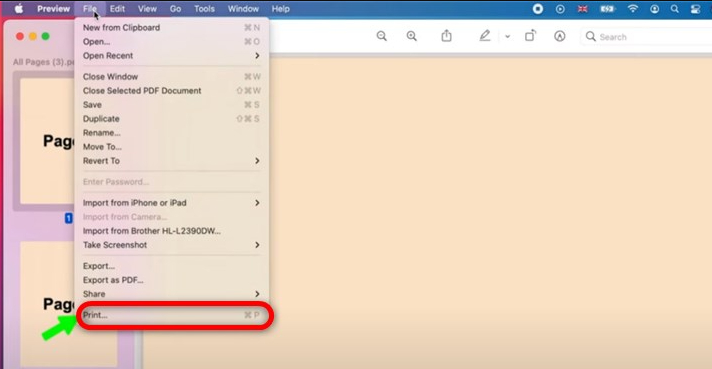 Ir para Imprimir no Preview