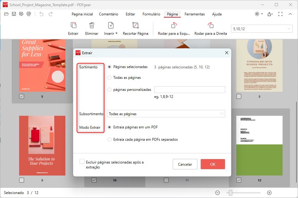 Páginas de PDF Extraídas Personalizadas
