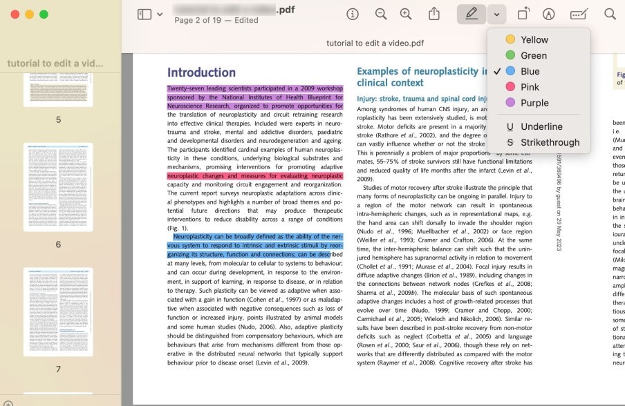Ferramenta de Marcador Preview