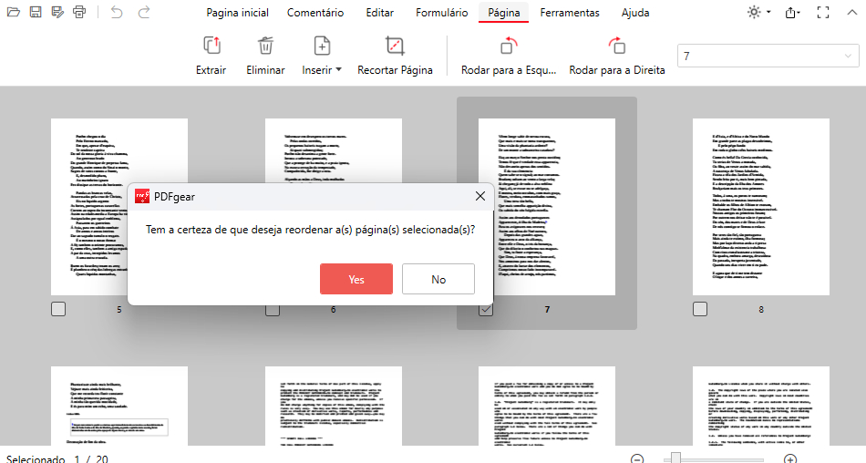 Confirmar Reorganização das Páginas PDF