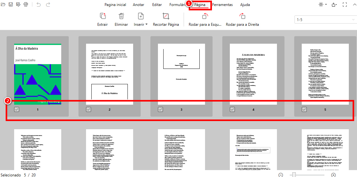 Selecionar Páginas para Extrair