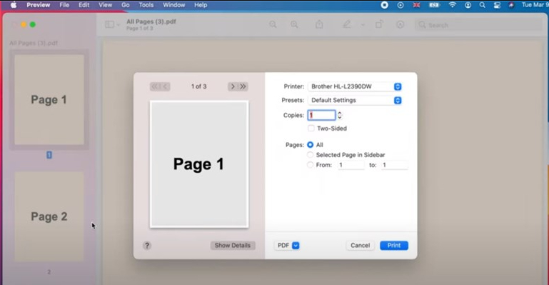 Selecionar Páginas no Preview