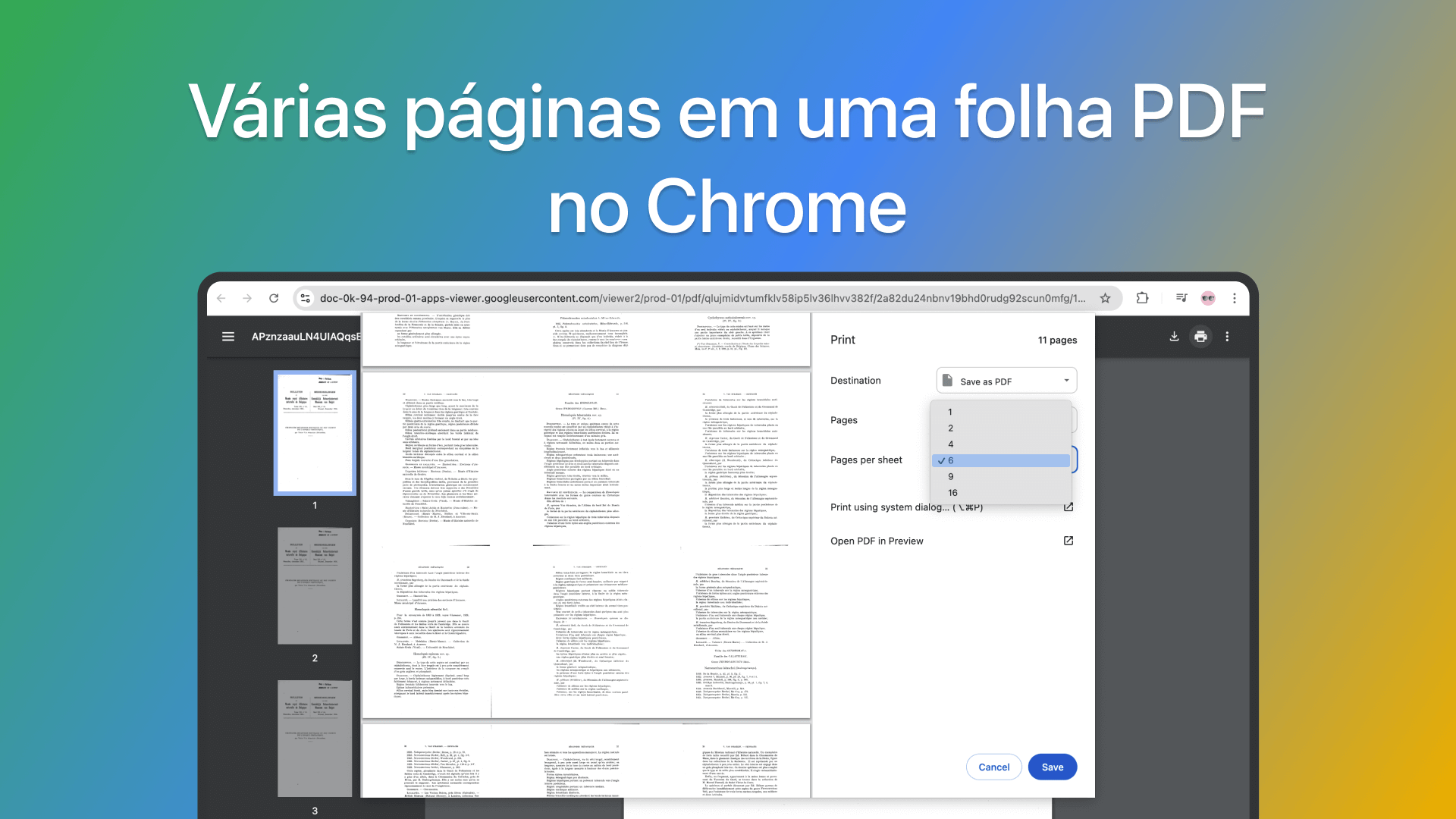 Várias páginas em uma folha PDF no Chrome