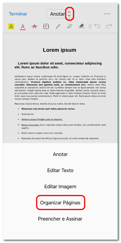 Entrar no modo de organizar páginas