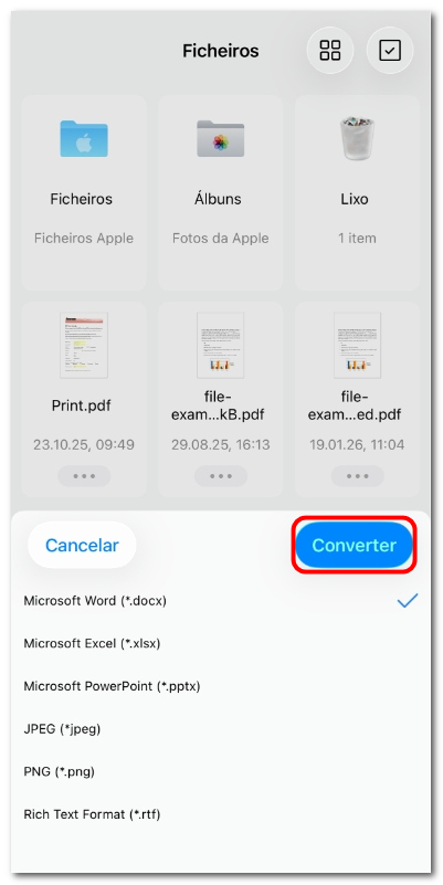Escolher um formato para converter