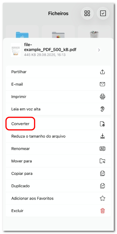Selecionar a opção de converter PDF