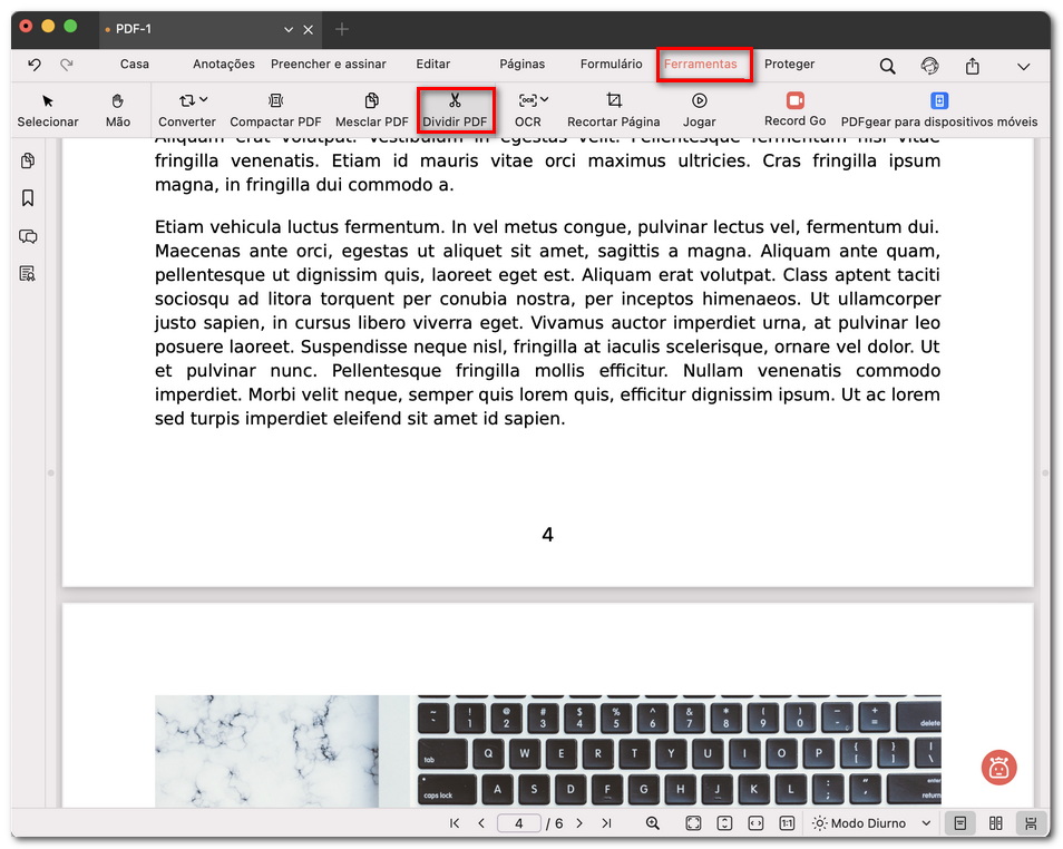 Abrir o divisor de páginas do PDF