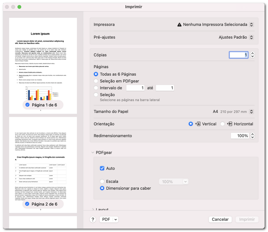 Definir opções de páginas para impressão