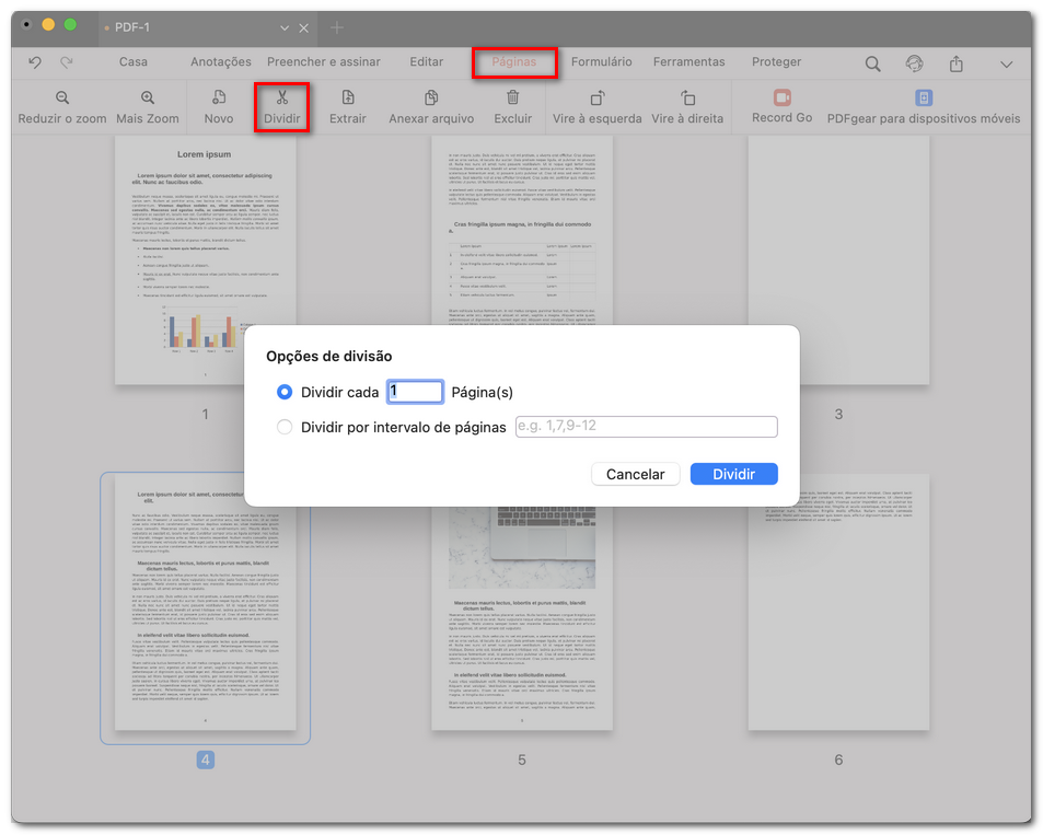 Dividir páginas do PDF