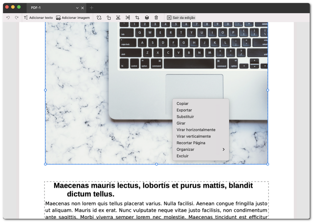 Editar a imagem em PDF