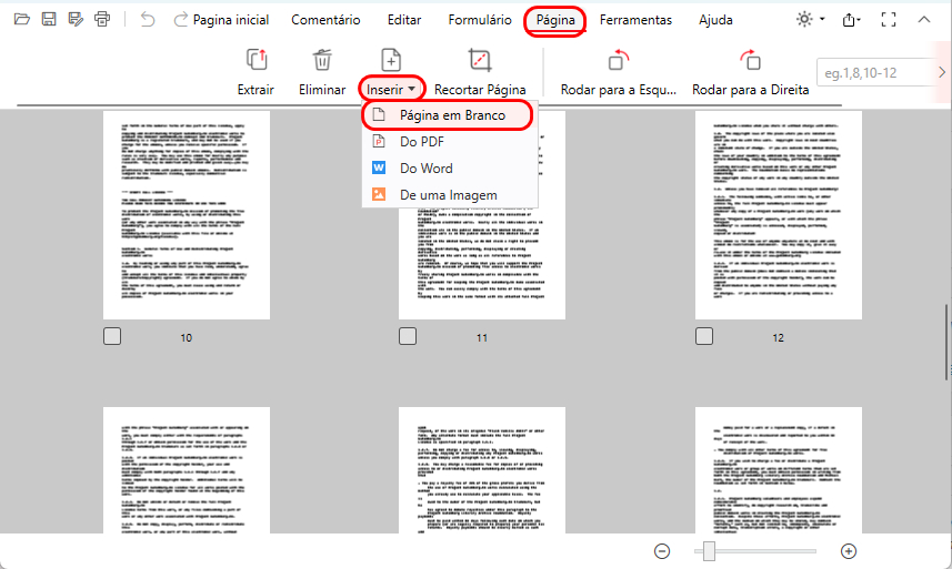 Inserir uma Página em Branco