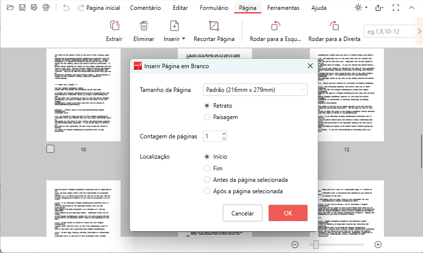 Personalizar a Página em Branco Inserida