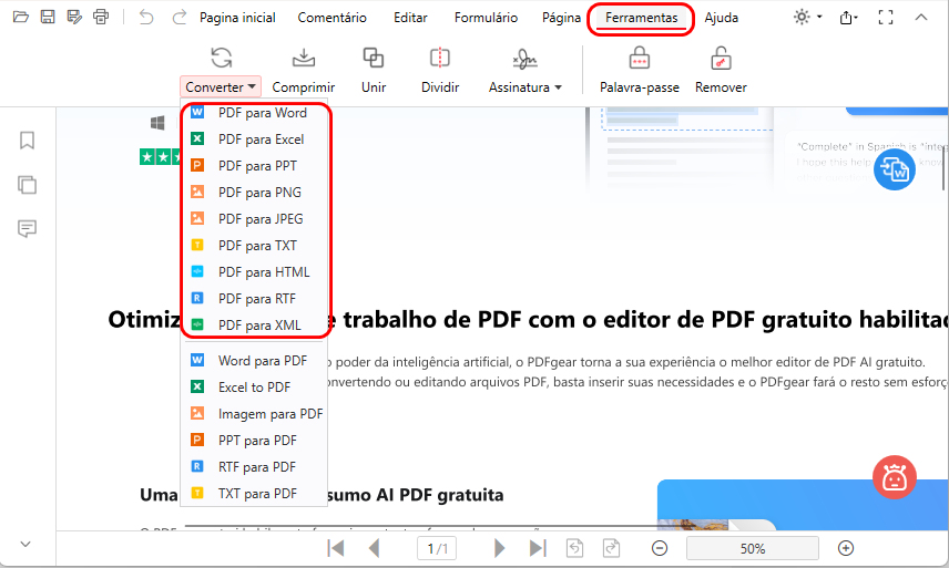 Visualizar e Converter PDF