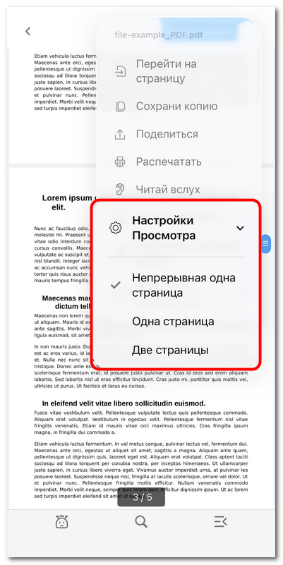 Выбор режима просмотра страниц
