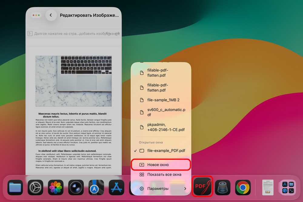 Открытие нового окна PDFgear на iPad