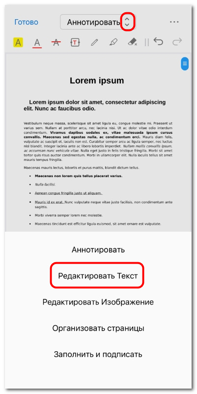 Открытие режима редактирования текста