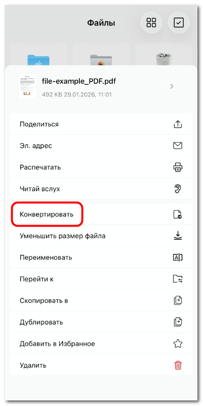 Выбор параметра конвертации PDF